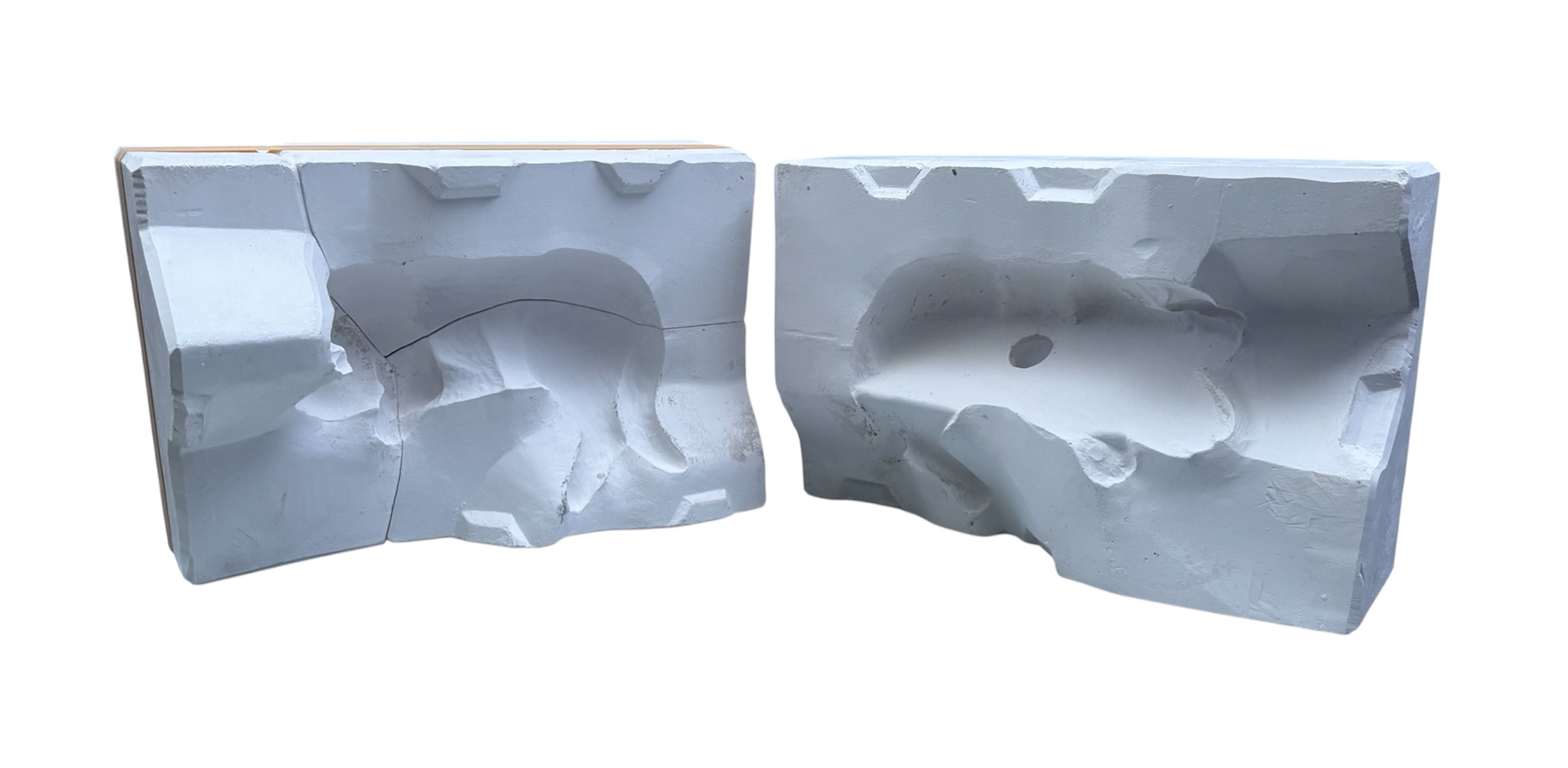 photoroom_20260207_165614