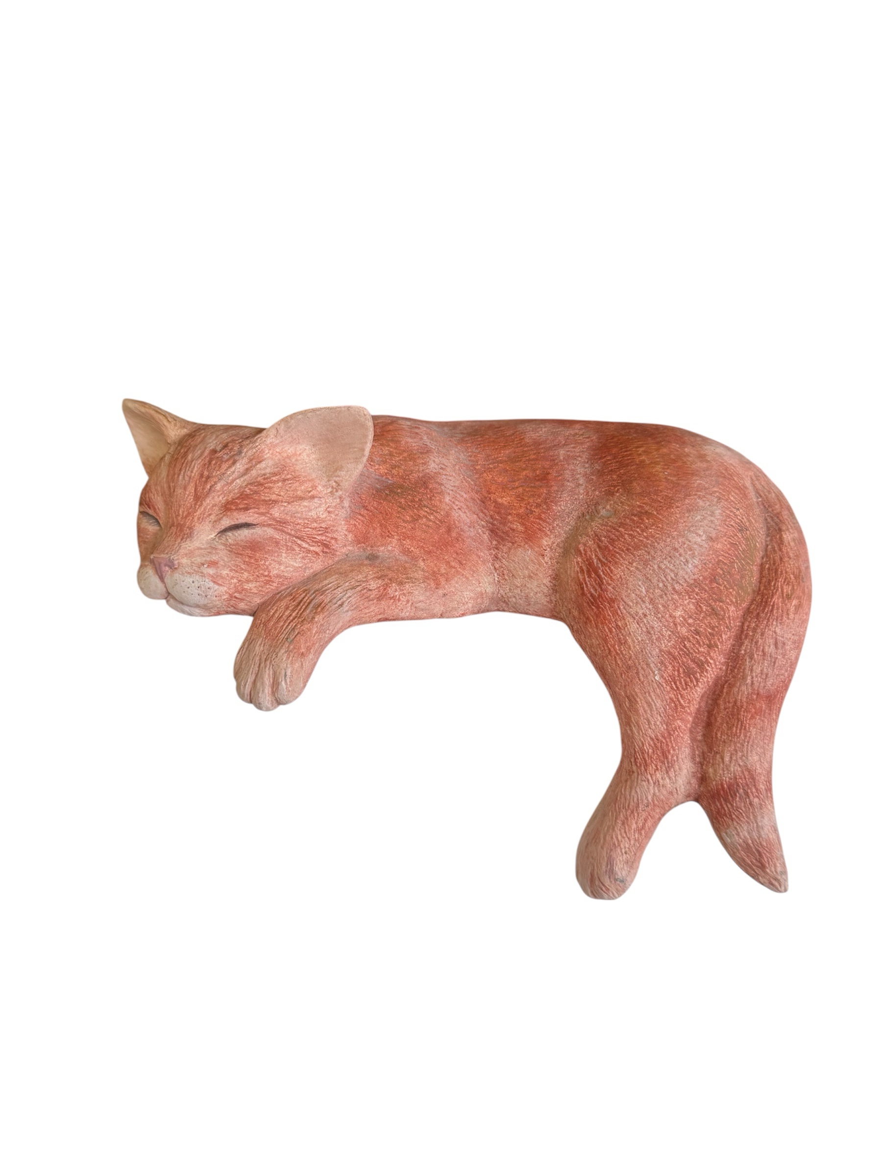 photoroom_20260225_132246