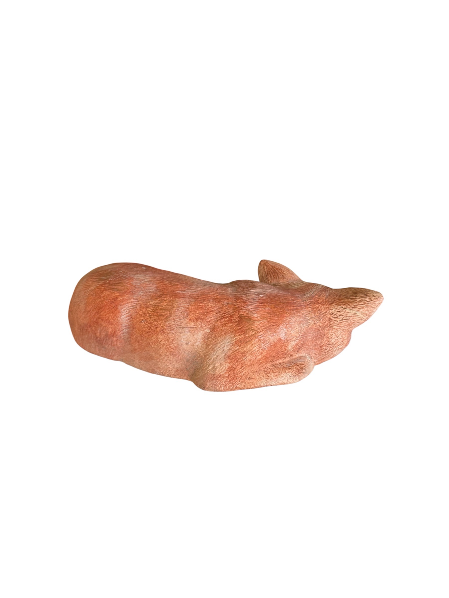 photoroom_20260225_132325