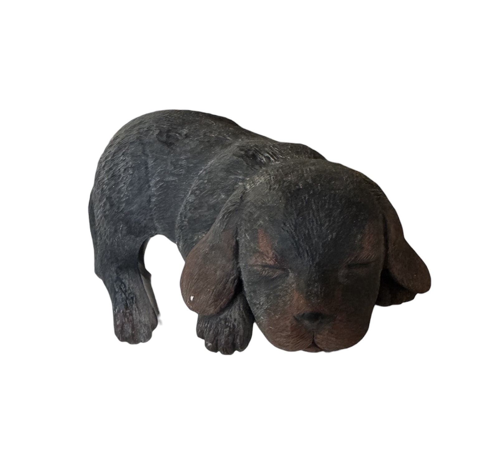 photoroom_20260225_152944-1