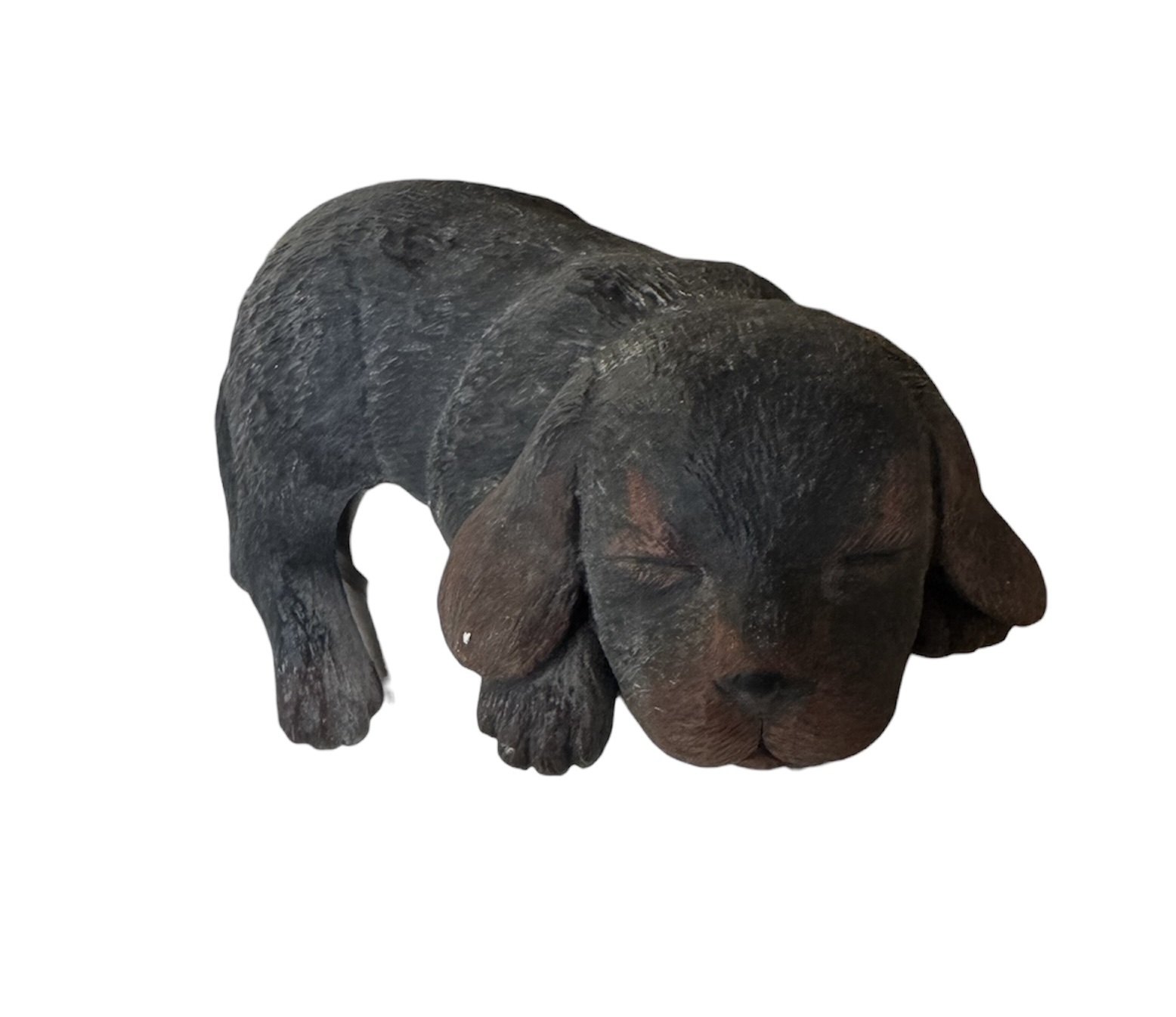 photoroom_20260225_152944